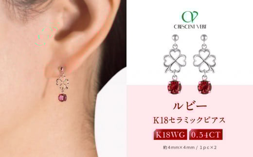 yZzNTx[qr[EVR_ChrsAXy0.54ctzs{ss90000ߗށEiEH|iANZT[