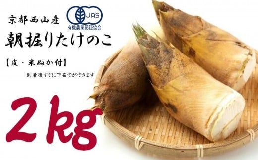 <先行予約>【皮付き京都西山産】 朝掘りたけのこ 2kg(米ぬか付)【アドプランツコーポレーション】京都府京都市21000野菜・きのこその他 野菜