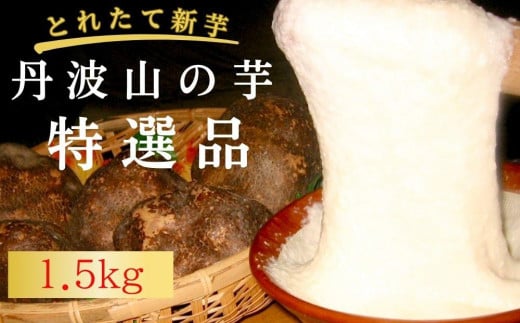 yƂȂgzv~AOgR̈Ii1.Tkgm s   C VN  lC   ʔ ӂ邳Ɣ[ ns{ss13000؁Ê̑ 