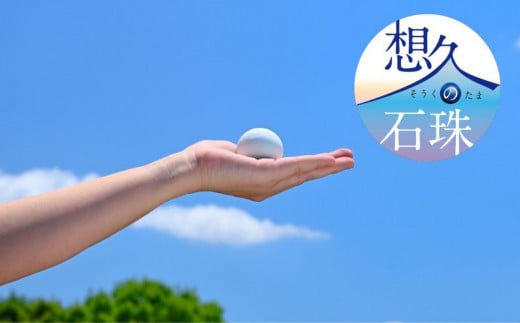 【山川製陶所】想久の石珠 石珠のみ京都府京都市270000衣類・装飾品・工芸品その他 装飾品・工芸品