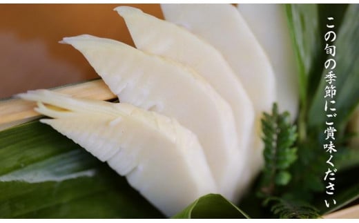 予約受付【筍農家】京都産 朝堀り 湯がき たけのこ優秀品1KG(3-5本)皮なし [ 京都 筍専門店 たけのこ 朝掘り直送 新鮮 人気 おすすめ おいしい タケノコ 季節限定 お取り寄せ 通販  ふるさと納