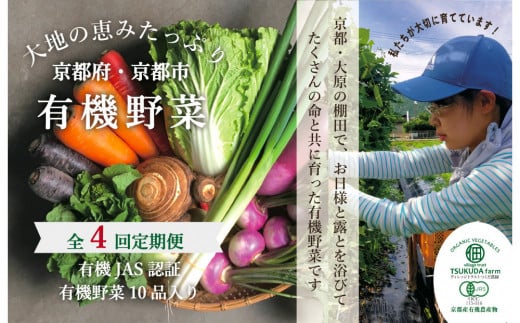 ◆全4回定期便◆【つくだ農園】《有機JAS認証 有機野菜10品入り》京都の棚田大原で心を込めて大切に露地栽培された大地の恵みたっぷりの有機野菜![ 京都 有機野菜 定期便 セット 人気 お