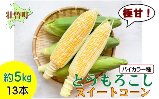 2026N8{U{͂kCsˎY Ƃ낱iXC[gR[j13{ 5kgy ӂ邳Ɣ[ lC  LO gERV Ƃ낱 XC[gR[  Â