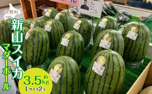<2026年8月上旬よりお届け>北海道壮瞥産 新山すいか 小玉すいか(マダーボール)Lサイズ2玉 スイカ  【 ふるさと納税 人気 おすすめ ランキング スイカ すいか 西瓜 マダーボール 甘い