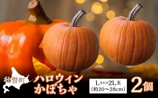 2026N10{肨͂nEBڂ L܂2LTCY2 y ӂ邳Ɣ[ lC  LO ڂ J{` Z  nEB[ nEB ڂႨ΂ 