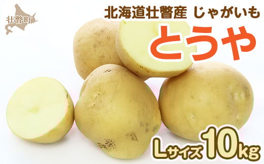 <2026年9月下旬よりお届け>北海道壮瞥町産じゃがいも(とうや)Lサイズ10kg 【 ふるさと納税 人気 おすすめ ランキング 野菜 いも 芋 じゃがいも じゃが芋 ジャガイモ ポテト国産 おいしい