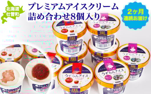プレミアムアイスクリーム詰め合わせ8個入り 2ヶ月連続お届け ふるさと納税 人気 おすすめ ランキング 北海道 壮瞥 定期便 アイス あいす アイスクリーム りんご 林檎 リンゴ アップル うず