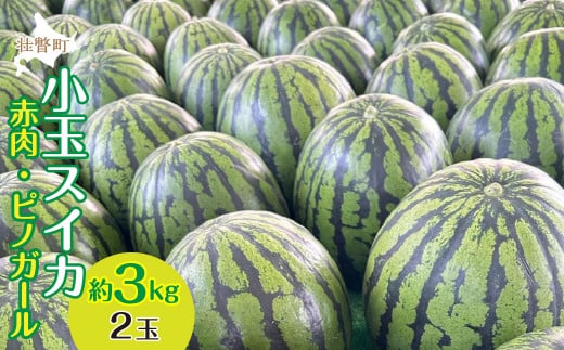 2026N8{菇͂kCsˎY ʂiԓEsmK[j2ʖ3kg XCJ@@y ӂ邳Ɣ[ lC  LO XCJ  Z Â  kC s˒