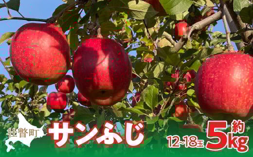 <2025年12月上旬よりお届け>北海道壮瞥町 りんご 品種名「サンふじ」12〜18玉約5kg 【 ふるさと納税 人気 おすすめ ランキング りんご リンゴ 林檎 サンふじ ふじ 甘い ジューシー 北海道