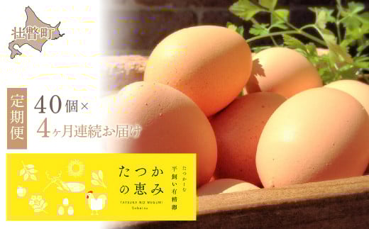 平飼い有精卵『たつかの恵み』40個×4ヶ月連続お届け 【 ふるさと納税 人気 おすすめ ランキング 卵 たまご タマゴ たまごかけご飯 目玉焼き ゆでたまご 卵焼き 定期便 北海道 壮瞥町  】 SBTT
