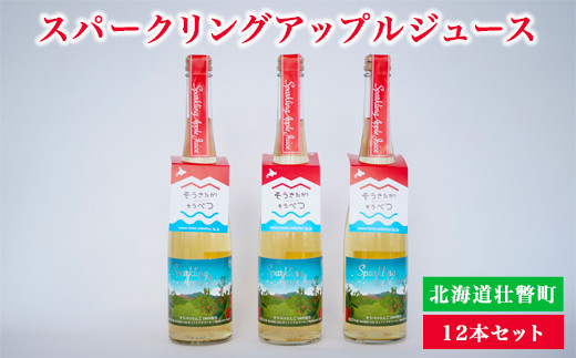 スパークリングアップルジュース12本セット ふるさと納税 人気 おすすめ ランキング 北海道 壮瞥 りんご アップル ジュース スパークリング 果汁 100% 炭酸 飲料水 飲み物 贈り物 贈物 贈答