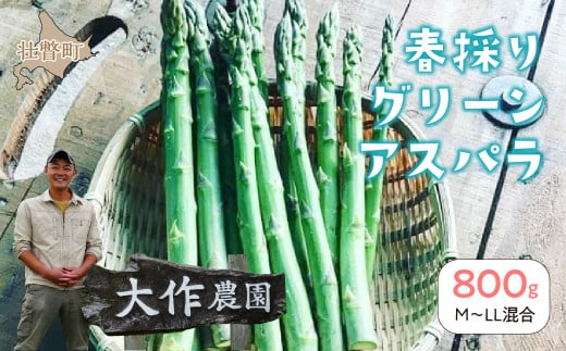 <2026年4月上旬よりお届け>【朝採り】北海道壮瞥町産 春採りグリーンアスパラM〜LL混合 約800g【 ふるさと納税 人気 おすすめ ランキング グリーンアスパラ アスパラ あすぱら 野菜 甘い