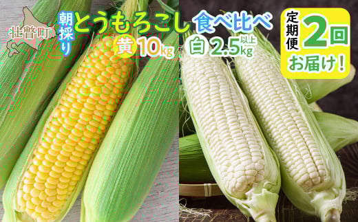 北海道壮瞥町 2回 定期便 8月上旬・8月下旬朝採り!産地直送 北海道壮瞥町産 とうもろこし黄・白 食べ比べ【 ふるさと納税 人気 おすすめ ランキング トウモロコシ とうもろこし ホワイト