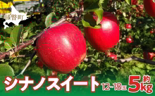 <2025年10月下旬よりお届け>北海道壮瞥町 りんご「シナノスイート」12〜18玉約5kg 【 ふるさと納税 人気 おすすめ ランキング りんご リンゴ 林檎 シナノスイート 甘い ジューシー 北海道 壮