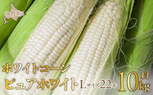 2026N8{肨͂ŷzkCs˒@zCgR[usAzCgvLTCYȏ22{i10kgjy ӂ邳Ɣ[ lC  LO zCgR[ sAzC