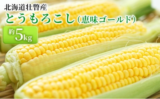 <2026年8月上旬より順次お届け>北海道壮瞥産 とうもろこし(恵味ゴールド)約5kg 【 ふるさと納税 人気 おすすめ ランキング 北海道 壮瞥 先行予約 とうもろこし トウモロコシ 野菜 とうき