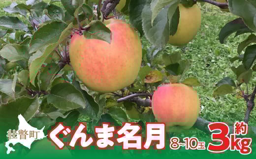 <2025年11月中旬よりお届け> 北海道壮瞥町 りんご 「ぐんま名月」8〜10玉約3kg 【 ふるさと納税 人気 おすすめ ランキング りんご リンゴ 林檎 ぐんま名月 甘い 蜜 北海道 壮瞥町  】 SBTF004北