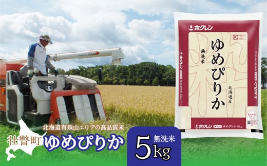 【令和7年産 】(無洗米5kg)ホクレンゆめぴりか 【 ふるさと納税 人気 おすすめ ランキング 北海道産 壮瞥 無洗米 米 白米 ゆめぴりか 甘い おにぎり おむすび こめ 贈り物 贈物 贈答 ギフト