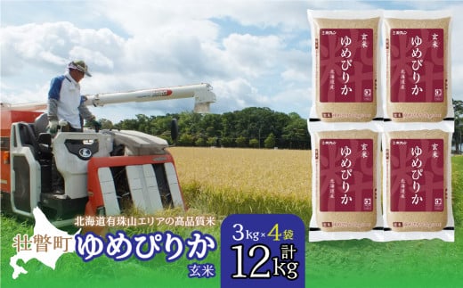 【令和7年産 】(玄米12kg)ホクレンゆめぴりか(3kg×4袋) 【 ふるさと納税 人気 おすすめ ランキング 北海道産 壮瞥 玄米 米 ゆめぴりか 炊き込みご飯 おにぎり おむすび こめ 贈り物 贈物