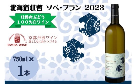 北海道壮瞥産 ソペ・ブラン2023(辛口白ワイン) 750ml 【 ふるさと納税 人気 おすすめ ランキング 北海道 壮瞥 ワイン シャルドネ ピノ・ブラン ぶどう 葡萄 酒 白 辛口 贈り物 贈物 贈答 ギフト