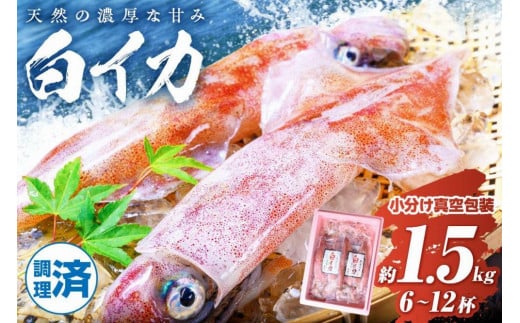 BBQに最適! 白イカ(ケンサキイカ) 調理済み 正味1.5kg入り(6〜12匹) ※小分け真空包装 UO01226京都府京丹後市20000魚介・海産物イカ・タコ・ウニ
