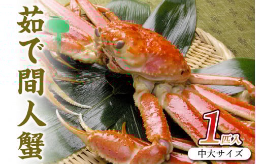 幻の松葉ガニ<ボイルズワイガニ>京丹後市産 茹で間人蟹 【厳選】 中大サイズ taizakani800 カニ かに 蟹 松葉ガニ 間人蟹 茹で間人蟹 天然 1匹 厳選 新鮮 高級 蟹味噌 かにみそ 冬の味覚 冷