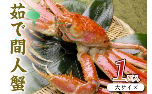幻の松葉ガニ<ボイルズワイガニ 姿>京丹後市産 茹で間人蟹 【厳選】 大サイズ taizakani900 カニ かに 蟹 松葉ガニ 間人蟹 茹で間人蟹 天然 1匹 厳選 新鮮 高級 蟹味噌 かにみそ 冬の味覚