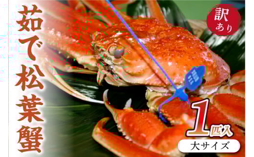 (訳あり)ボイル 松葉ガニ 姿/日本海産/日本海産 ブランド蟹 茹で松葉蟹 【訳あり】大サイズ matubakani900 ズワイガニ 松葉ガニ 国産 カニ かに 蟹 松葉ガニ 訳あり ボイル 茹で松葉蟹