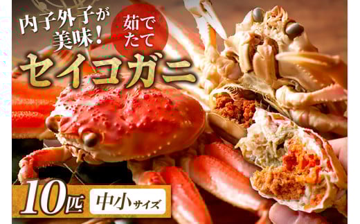 【蟹の匠 魚政】内子外子が美味! 茹でたて セイコガニ(セコ蟹)(香箱ガニ)(こっぺ)中小サイズ 10匹セット UO01385京都府京丹後市40000魚介・海産物カニ