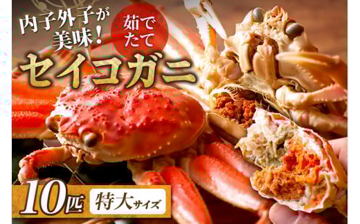 yȈ zqOq! 䥂ł ZCRKjiZRIjiKjji؁jTCY 10CZbg {C   10C ①ց@UO01389s{Os180000ECY