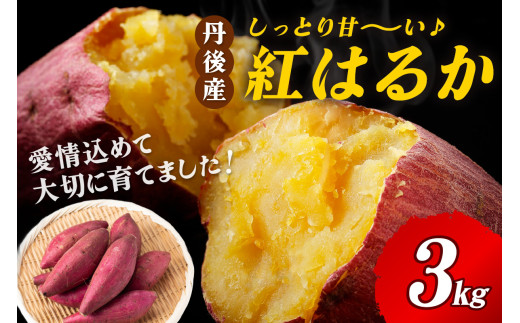 【先行予約】丹後産 さつまいも 紅はるか3kg 2026年3月下旬〜配送 AM00666_04京都府京丹後市8000野菜・きのこじゃがいも・イモ類