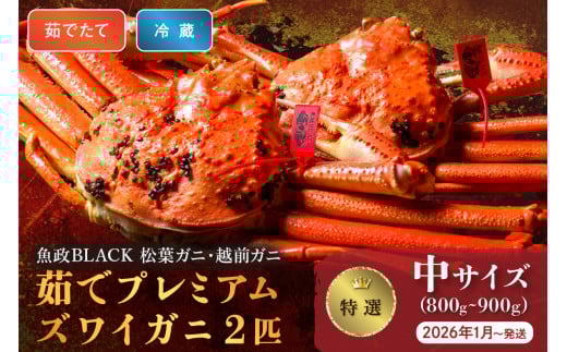 【蟹の匠 魚政】茹で プレミアムズワイガニ 魚政BLACK(松葉ガニ・越前ガニ)特撰 中サイズ(800〜900g) 2匹セット  (2026年1月〜発送)【土日祝】 松葉蟹 蟹 かに カニ ガニ がに ボイル 海