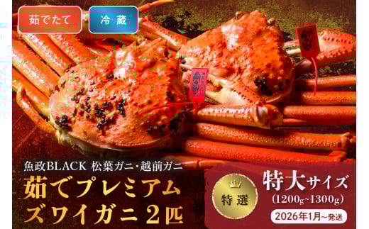 【蟹の匠 魚政】茹で プレミアムズワイガニ 魚政BLACK(松葉ガニ・越前ガニ)特撰 特大サイズ(1200〜1300g) 2匹セット  (2026年1月〜発送)【土日祝】 松葉蟹 蟹 かに カニ ガニ がに ボイル