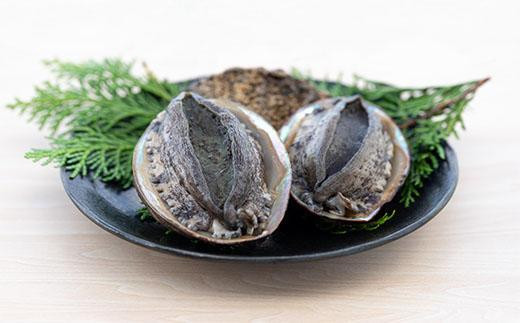 【数量限定】活黒あわび(養殖) 約80g〜90g×4枚 海鮮 魚介 魚介類 鮑 あわび 黒鮑 黒あわび 身厚 厳選 柔らかい 極上品 アワビ 鮑 黒アワビ 国産 京都 丹後 京丹後 養殖 日本海 肉厚 養殖あ