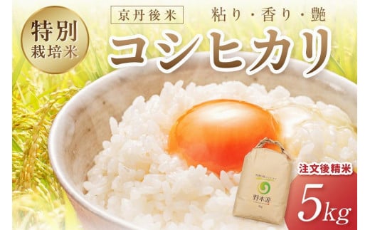 2025年産 京丹後米 特別栽培米コシヒカリ 5kg(白米) 注文後精米 NO00021京都府京丹後市17000米・パン白米