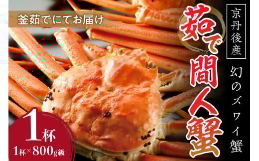 【幻のズワイ蟹】京丹後産 茹で間人蟹 鮮度抜群、釜茹でにてお届け!! 800g級×1杯 YK00083京都府京丹後市106000魚介・海産物カニ