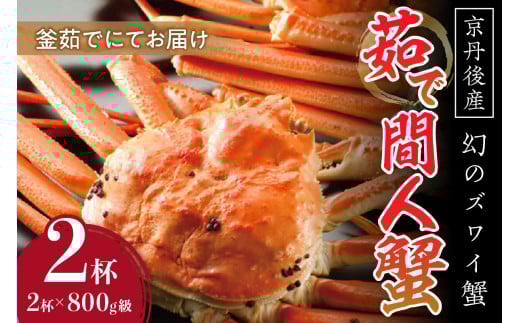 ỹYCIzOY 䥂ŊԐlI NxQA䥂łɂĂ͂II 800g×2t@YK00084s{Os212000ECYJj