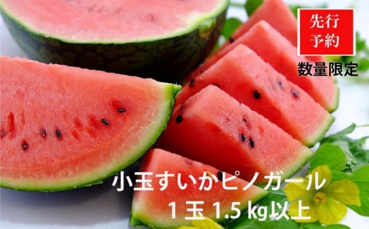 ys\zb̏ʃXCJsmK[ 1ʁi1.5kgȏji2026N7{`j smEK[   Z  lC t[c ʕ @BF00008s{Os9000ʕEt[c