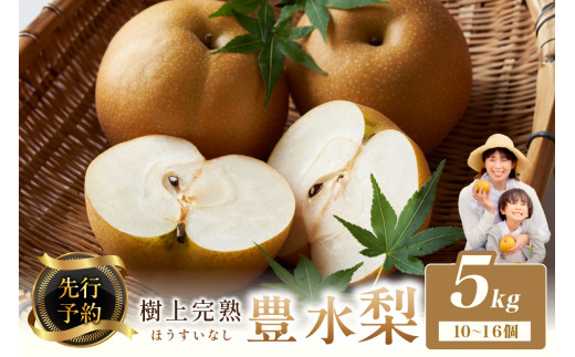 【先行予約】樹上完熟 豊水梨 5kg(10〜16個)(2026年8月下旬〜発送) 農家直送 ナシ なし ホウスイ ほうすい 人気 フルーツ 果物 BF00010京都府京丹後市14000果物・フルーツりんご・梨