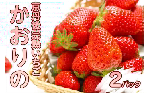 【先行予約/数量限定】京都丹後産 完熟いちご(かおりの) 2パック(2026年3月中旬〜発送)  農家直送 イチゴ 苺 先行予約 期間限定 フルーツ くだもの 果物 ストロベリー AM00667京都府京