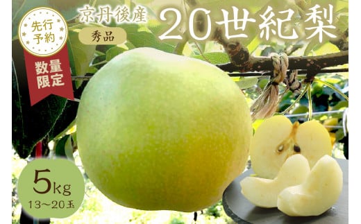 【先行予約/数量限定50】20世紀梨 秀品 5kg(13〜20玉入り)(2026年9月上旬〜発送) SF00038京都府京丹後市16000果物・フルーツりんご・梨