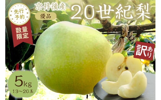 【先行予約/数量限定100】【訳あり】20世紀梨 優品 5kg(13〜20玉入り)(2026年9月上旬〜発送) SF00039京都府京丹後市14000果物・フルーツりんご・梨