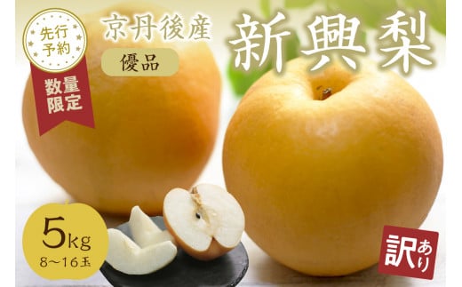 【先行予約/数量限定100】【訳あり】新興梨 優品 5kg(8〜16玉入り)(2025年10月上旬〜発送) SF00023京都府京丹後市14000果物・フルーツりんご・梨