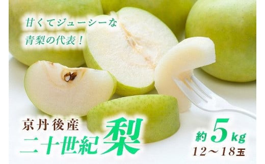 梨/20世紀梨【先行予約】甘〜ぃ!ジューシー!!青梨の王様 京丹後産 二十世紀梨5kg(12〜18玉)(2026年9月上旬〜発送) YK00559京都府京丹後市16000果物・フルーツりんご・梨