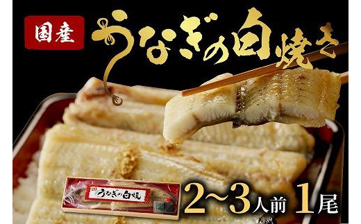 うなぎの白焼き2~3人前(1尾)ウナギ特製タレと山椒付き うなぎの白焼きセット・うなぎの白焼き・うなぎ1匹 AN00094京都府京丹後市20000魚介・海産物うなぎ