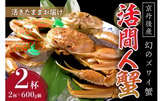 【幻のズワイ蟹】 京丹後産 活間人蟹(中) 鮮度抜群、活きたままお届け!! 600g級×2杯 YK00089京都府京丹後市132000魚介・海産物カニ