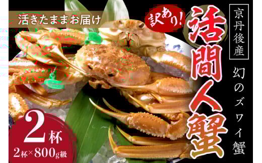 【訳あり!!幻のズワイ蟹】 京丹後産 活間人蟹 鮮度抜群、活きたままお届け!! 800g級(足1本落ち)×2杯 YK00069京都府京丹後市168000魚介・海産物カニ