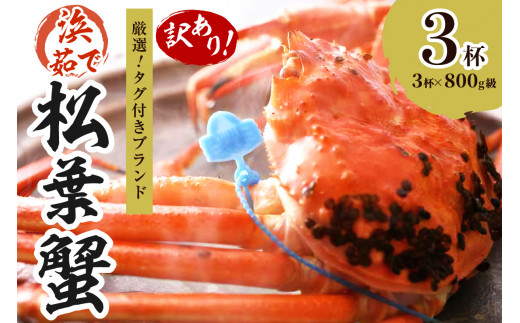 【訳あり!!タグ付きブランド】 茹で松葉かに 鮮度抜群、浜茹でにてお届け!! 800g級(足1本落ち)×3杯 YK00435京都府京丹後市132000魚介・海産物カニ