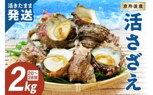 【日時指定可】最高鮮度の生きたまま発送!日本海荒波育ち 京丹後産さざえ2kg /北畿水産 日にち指定・活さざえ・活サザエ・つぼ焼き・刺身・着日指定 HK00271京都府京丹後市21000魚介