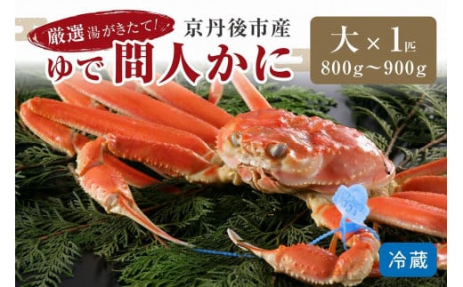 かに卸問屋がお届け・自社釜ゆで!幻のゆで間人ガニ 800g〜900g 大サイズ(11月発送)北畿水産 松葉ガニ 松葉蟹 松葉がに 松葉かに ズワイガニ ボイル カニ 姿 ゆでかに HK00217京都府京